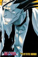 Bleach (3-in-1 Edition), Vol. 5: Includes vols. 13, 14 & 15: Volume 5